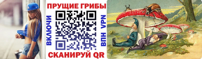 хочу наркоту  Гремячинск  гидра ССЫЛКА  Псилоцибиновые грибы Psilocybe 